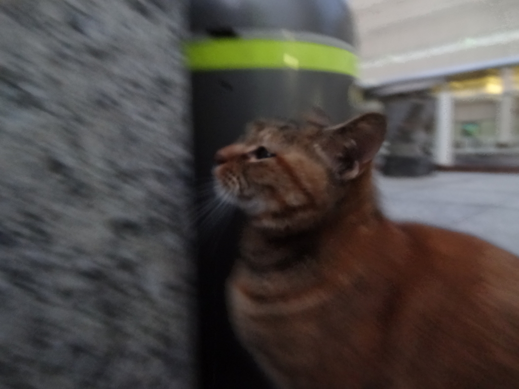 f:id:shigeo-t:20151217040417j:plain f:id:shigeo-t:20151217040417j:plain