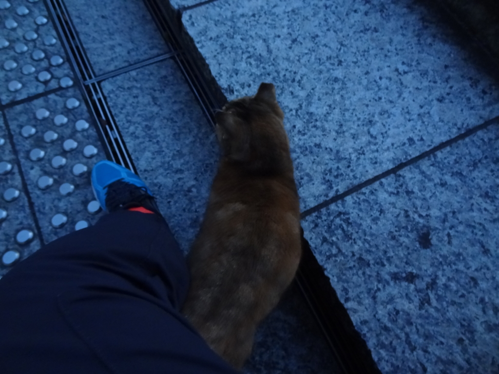 f:id:shigeo-t:20151230041226j:plain f:id:shigeo-t:20151230041226j:plain