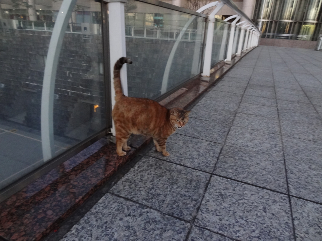 f:id:shigeo-t:20151230042014j:plain f:id:shigeo-t:20151230042014j:plain