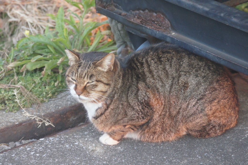 f:id:shigeo-t:20151230043845j:plain f:id:shigeo-t:20151230043845j:plain