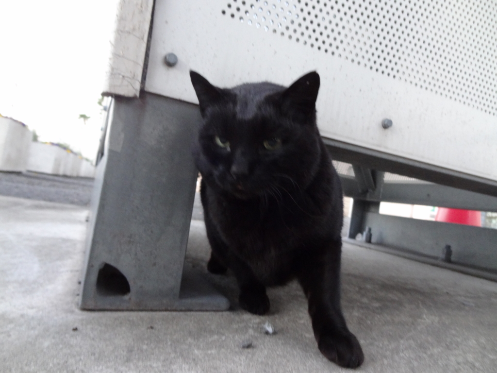 f:id:shigeo-t:20151231034451j:plain f:id:shigeo-t:20151231034451j:plain