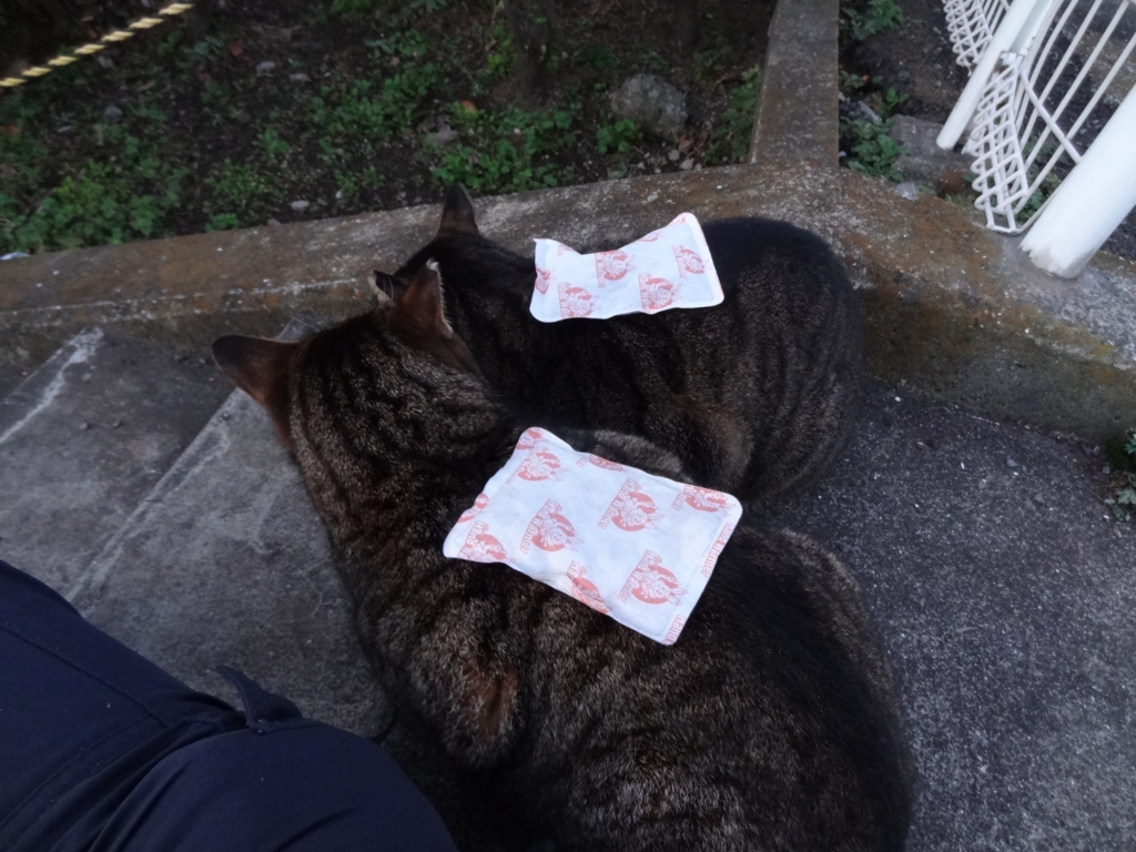 f:id:shigeo-t:20160115042607j:plain