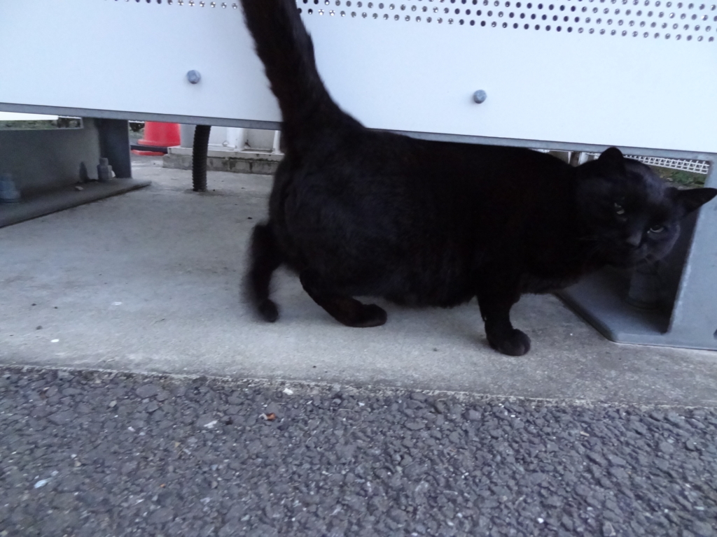 f:id:shigeo-t:20160115042703j:plain f:id:shigeo-t:20160115042703j:plain