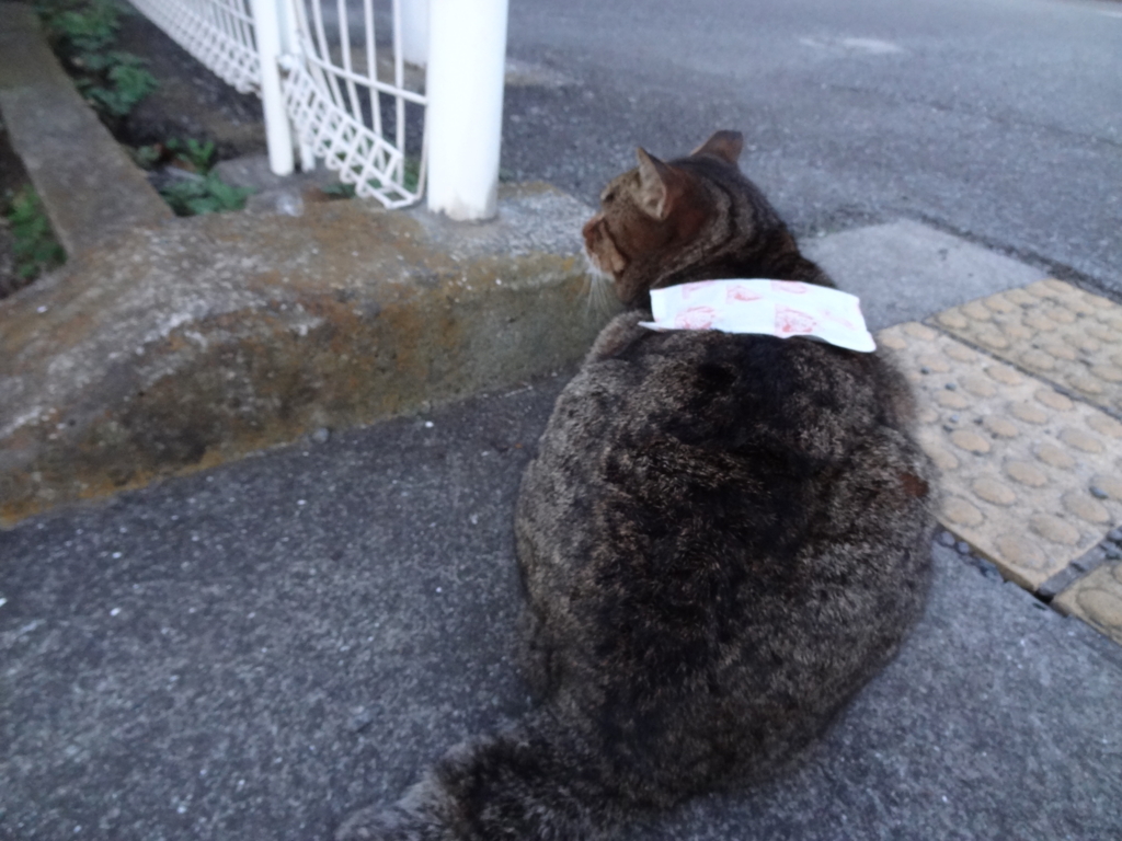 f:id:shigeo-t:20160115045314j:plain f:id:shigeo-t:20160115045314j:plain