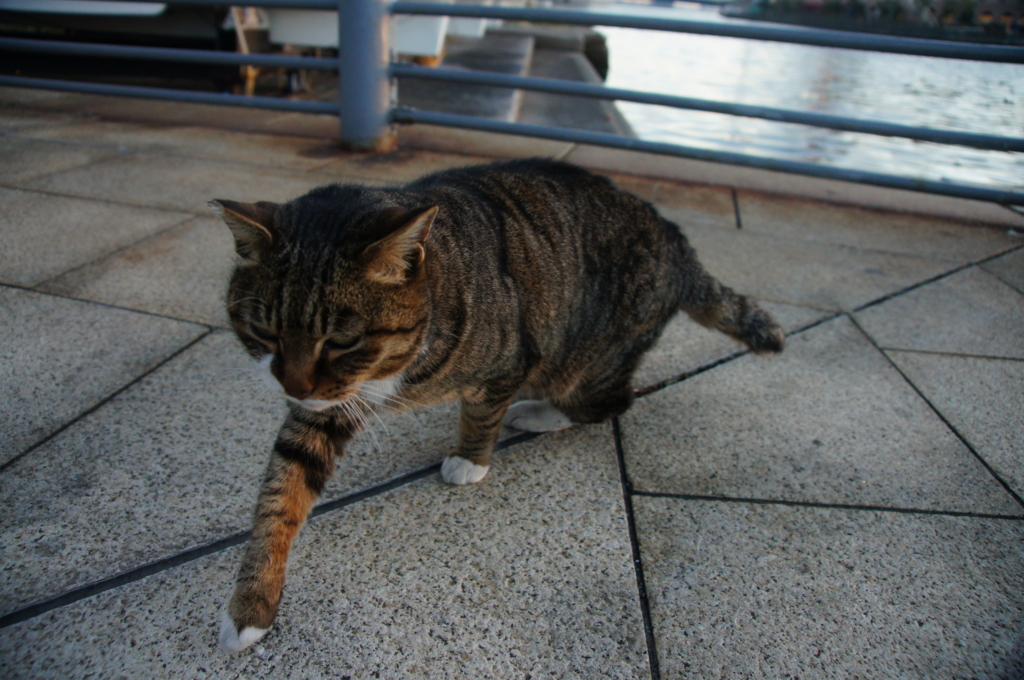 f:id:shigeo-t:20160116042021j:plain f:id:shigeo-t:20160116042021j:plain