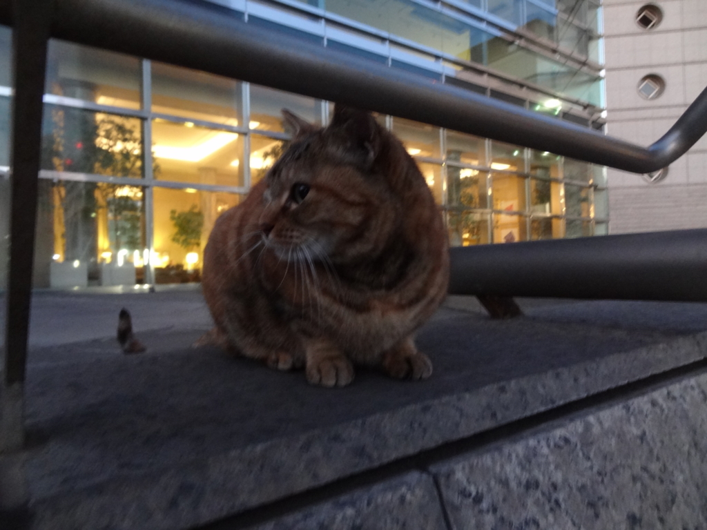 f:id:shigeo-t:20160116043150j:plain f:id:shigeo-t:20160116043150j:plain