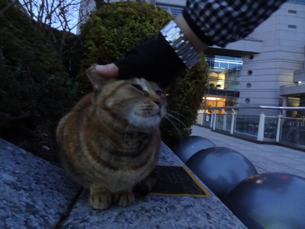 f:id:shigeo-t:20160116045443j:plain f:id:shigeo-t:20160116045443j:plain