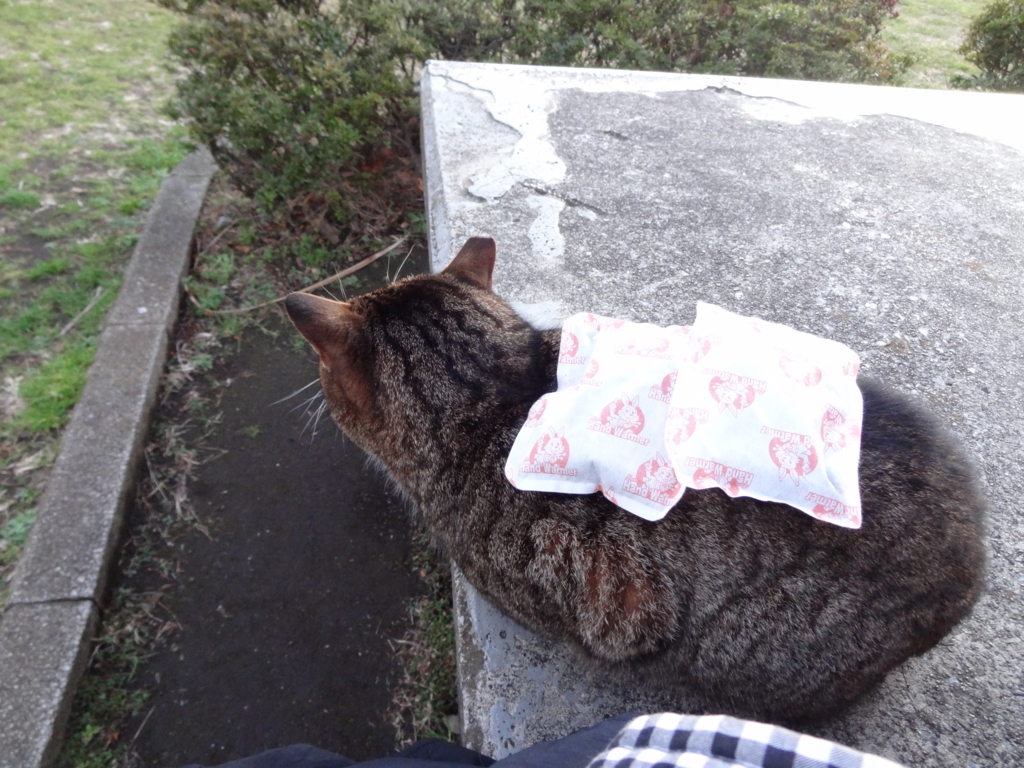 f:id:shigeo-t:20160131031025j:plain f:id:shigeo-t:20160131031025j:plain