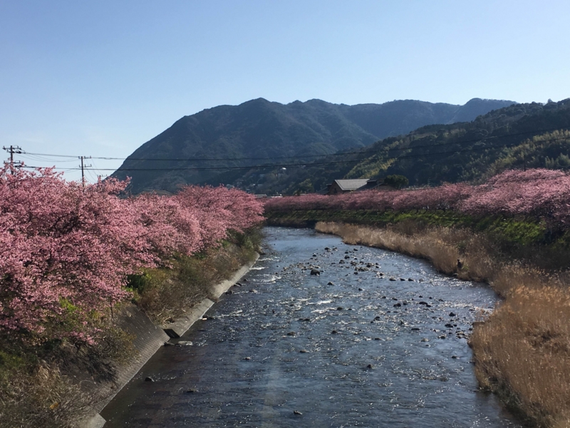 f:id:shigeo-t:20160219135246j:plain f:id:shigeo-t:20160219135246j:plain