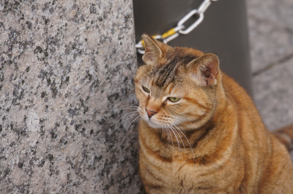 f:id:shigeo-t:20160416041138j:plain