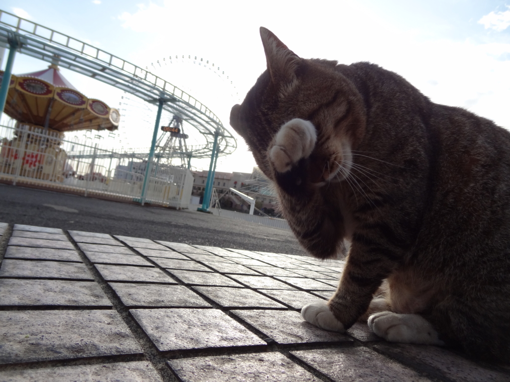 f:id:shigeo-t:20160416050352j:plain