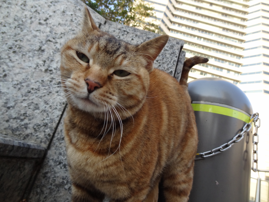 f:id:shigeo-t:20160420043854j:plain f:id:shigeo-t:20160420043854j:plain