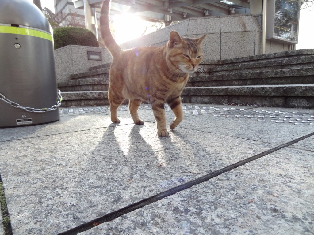 f:id:shigeo-t:20160420044550j:plain f:id:shigeo-t:20160420044550j:plain