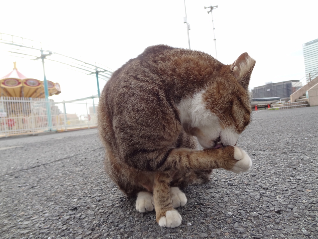 f:id:shigeo-t:20160430140450j:plain f:id:shigeo-t:20160430140450j:plain