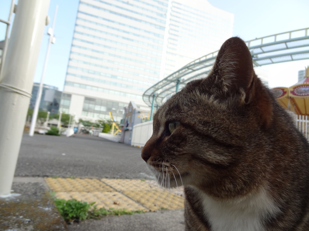 f:id:shigeo-t:20160430151742j:plain f:id:shigeo-t:20160430151742j:plain