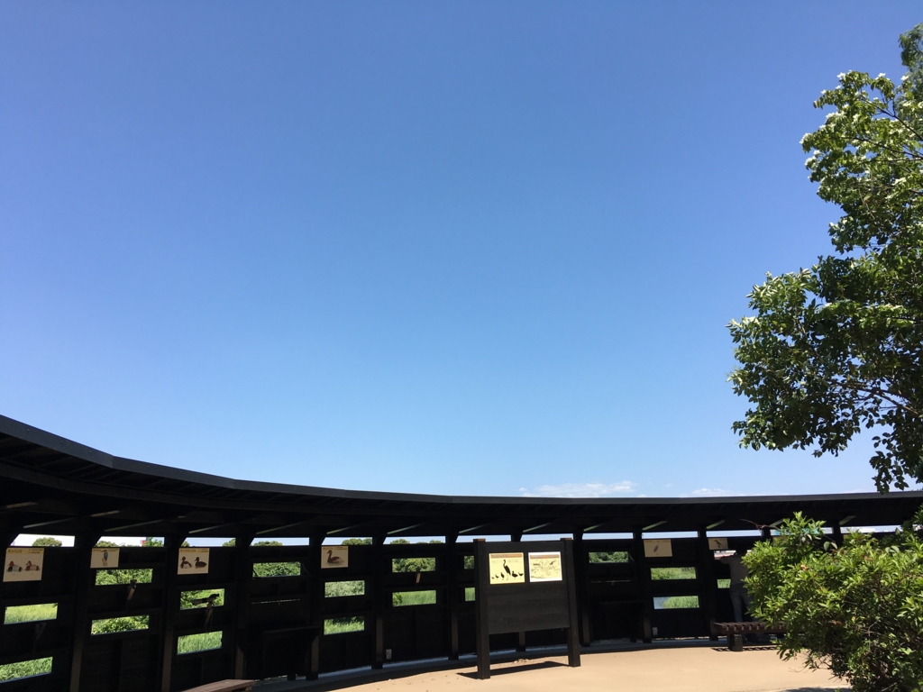 f:id:shigeo-t:20160604034427j:plain f:id:shigeo-t:20160604034427j:plain