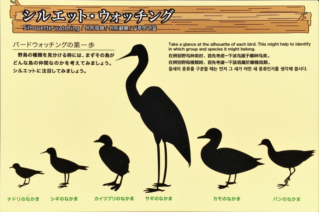 f:id:shigeo-t:20160604034639j:plain f:id:shigeo-t:20160604034639j:plain