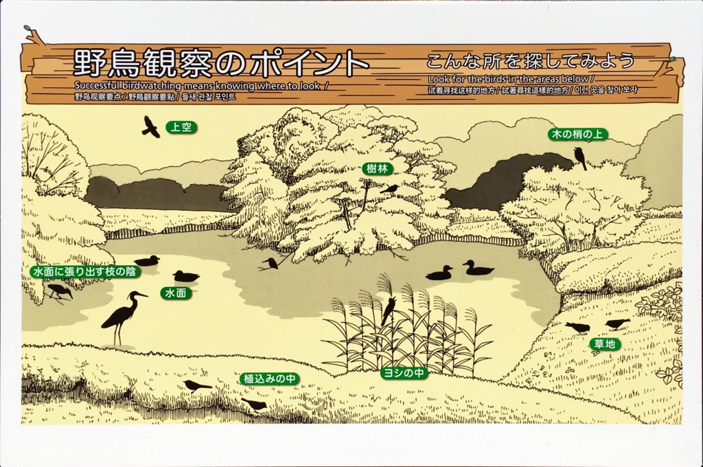 f:id:shigeo-t:20160604034646j:plain f:id:shigeo-t:20160604034646j:plain