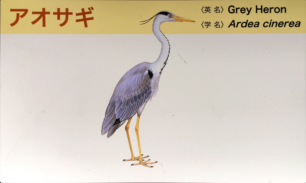 f:id:shigeo-t:20160604034653j:plain f:id:shigeo-t:20160604034653j:plain