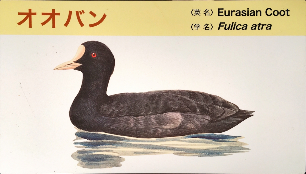 f:id:shigeo-t:20160604034857j:plain f:id:shigeo-t:20160604034857j:plain