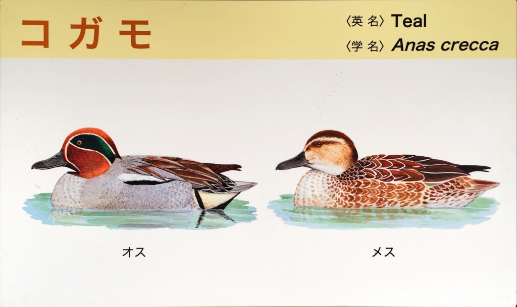 f:id:shigeo-t:20160604034907j:plain f:id:shigeo-t:20160604034907j:plain