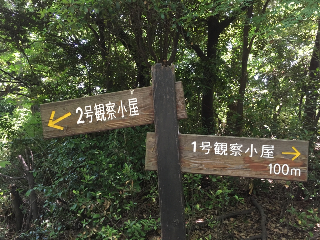 f:id:shigeo-t:20160604035856j:plain f:id:shigeo-t:20160604035856j:plain