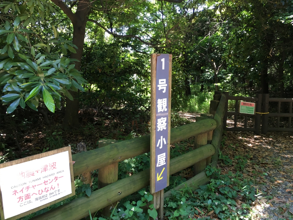 f:id:shigeo-t:20160604040017j:plain f:id:shigeo-t:20160604040017j:plain