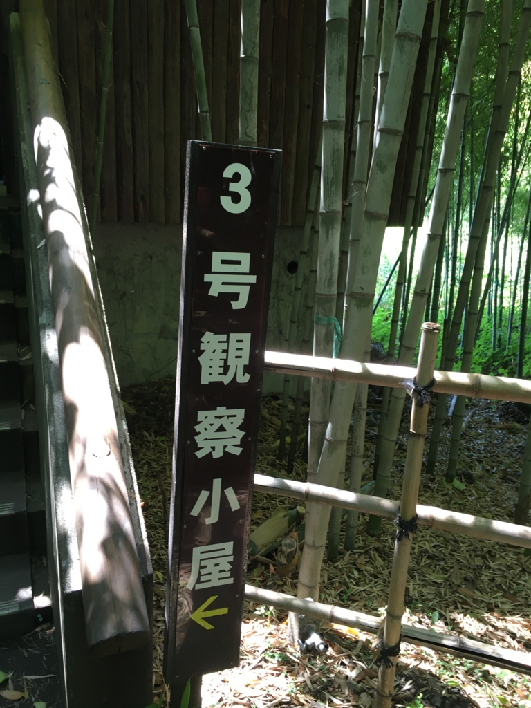 f:id:shigeo-t:20160604042455j:plain f:id:shigeo-t:20160604042455j:plain