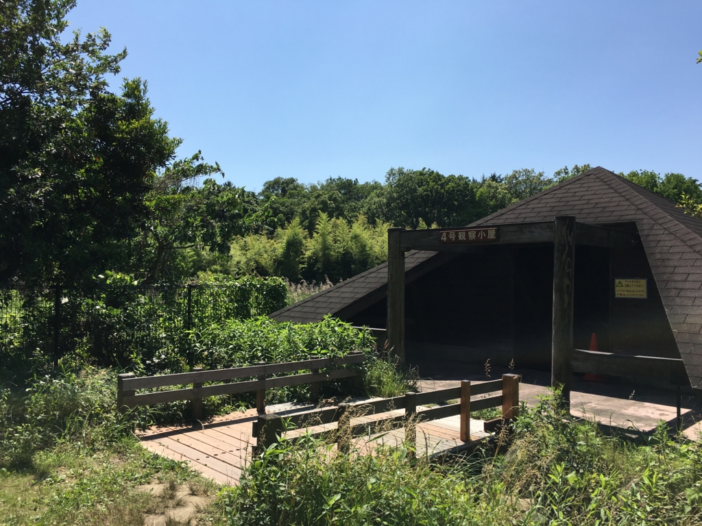 f:id:shigeo-t:20160604042537j:plain f:id:shigeo-t:20160604042537j:plain