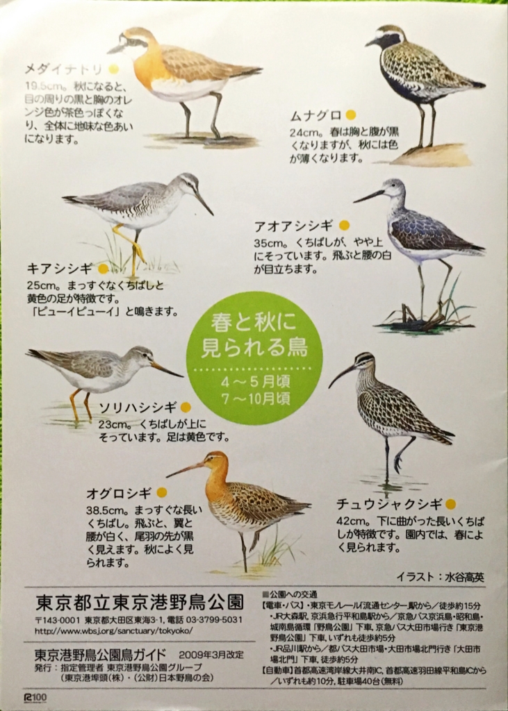 f:id:shigeo-t:20160604043718j:plain f:id:shigeo-t:20160604043718j:plain