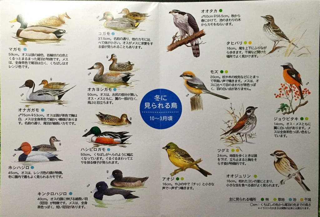 f:id:shigeo-t:20160604043738j:plain f:id:shigeo-t:20160604043738j:plain