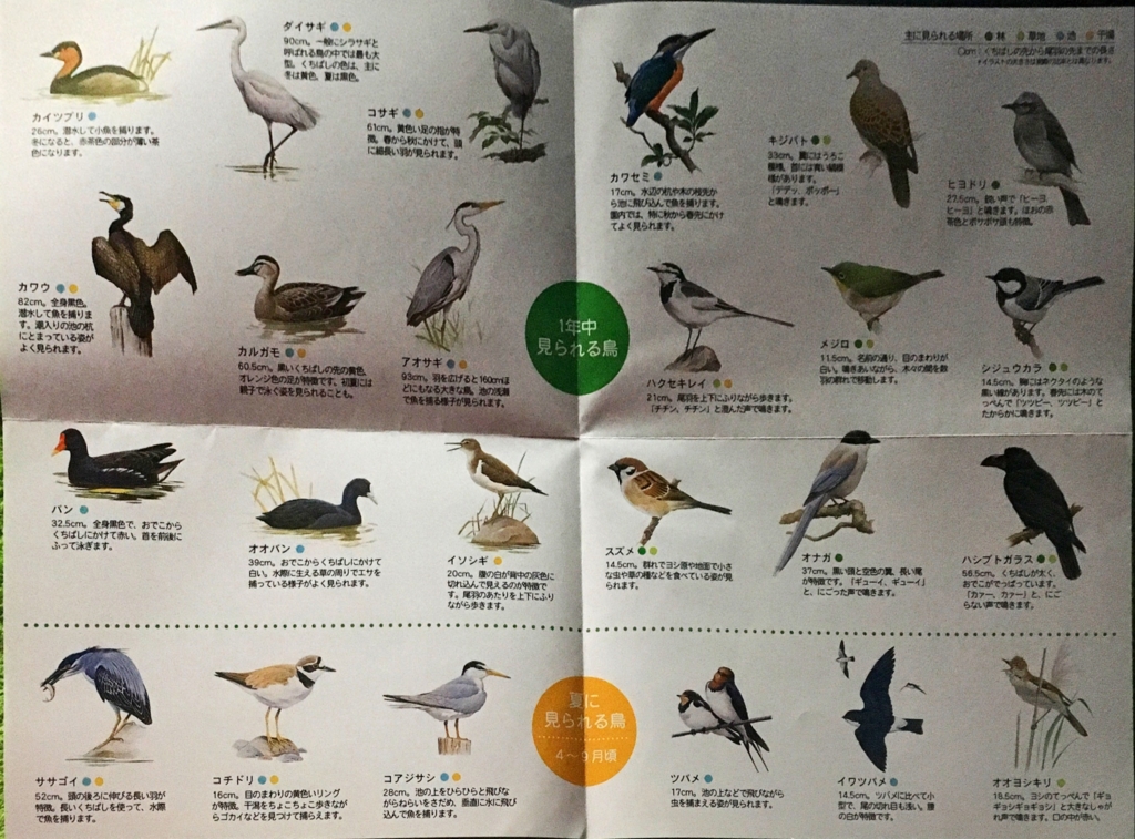 f:id:shigeo-t:20160604043754j:plain f:id:shigeo-t:20160604043754j:plain