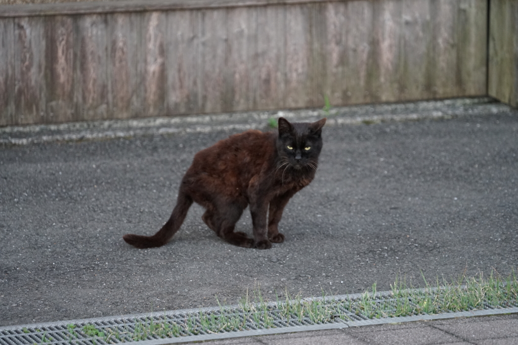 f:id:shigeo-t:20160616032927j:plain