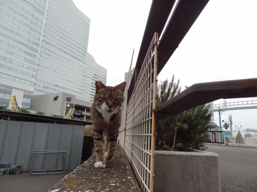 f:id:shigeo-t:20160702032927j:plain