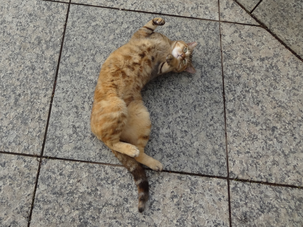 f:id:shigeo-t:20160702043447j:plain