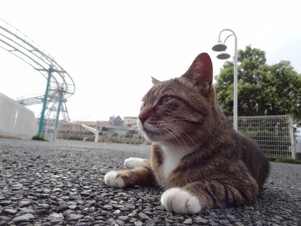 f:id:shigeo-t:20160702044328j:plain