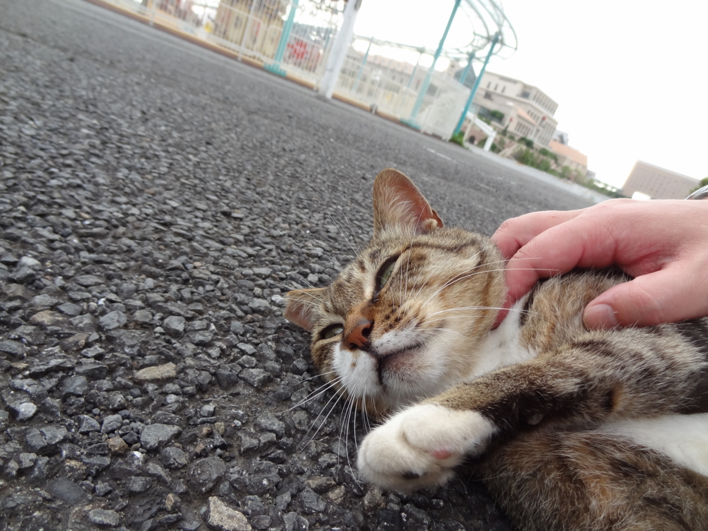 f:id:shigeo-t:20160730030100j:plain