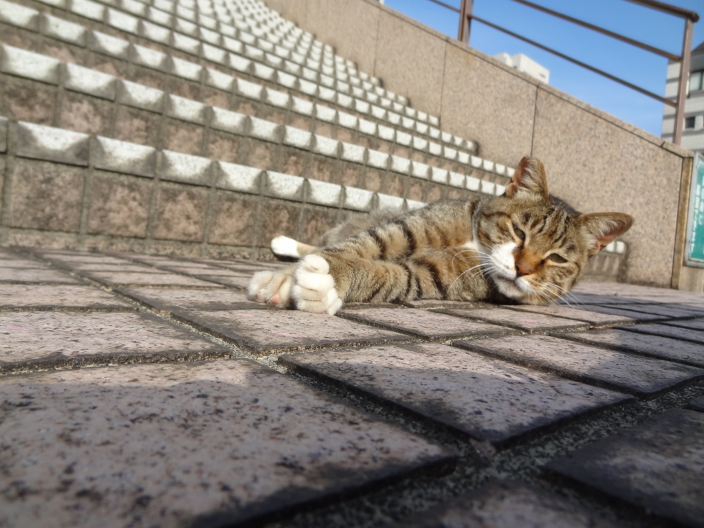 f:id:shigeo-t:20160730034752j:plain
