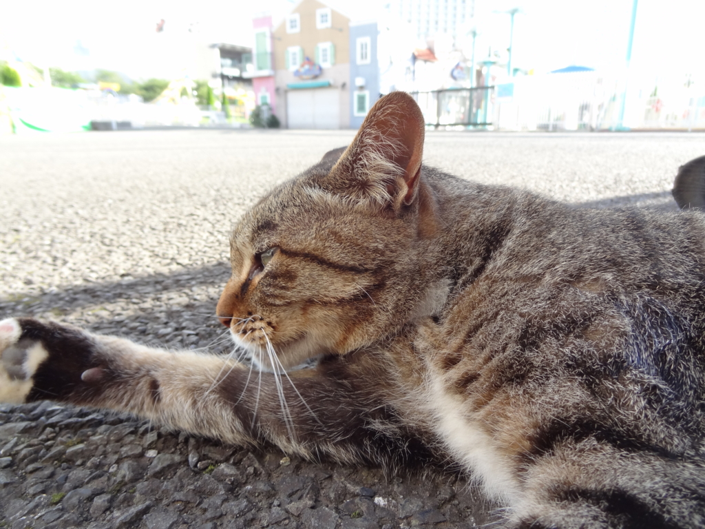 f:id:shigeo-t:20160731170033j:plain