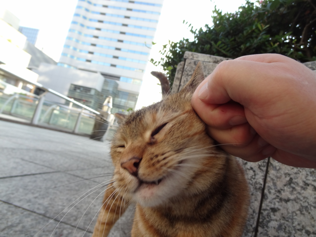 f:id:shigeo-t:20160813030207j:plain