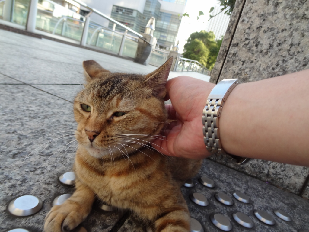 f:id:shigeo-t:20160813030221j:plain