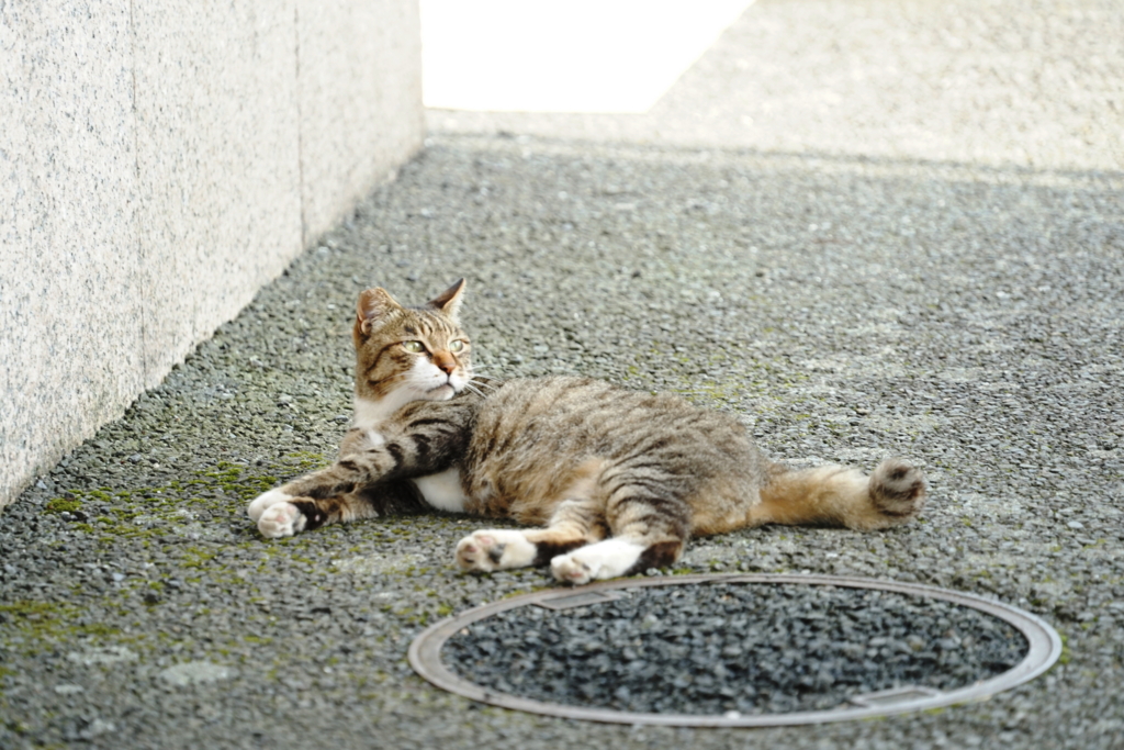 f:id:shigeo-t:20160813033452j:plain