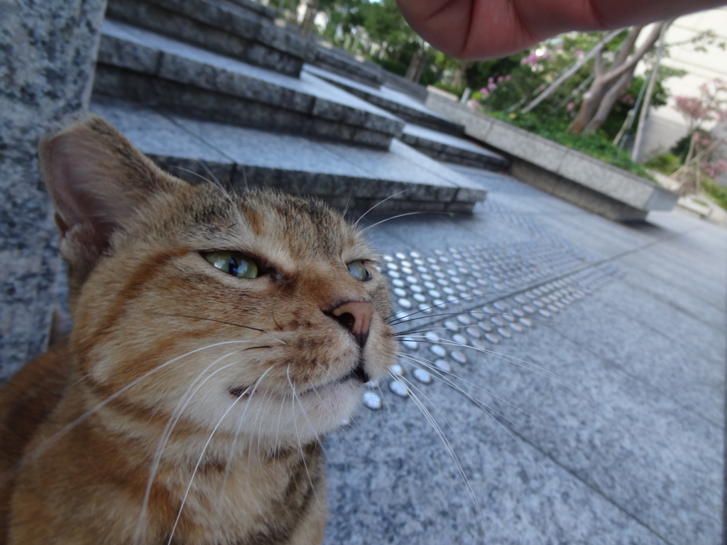 f:id:shigeo-t:20160813035340j:plain