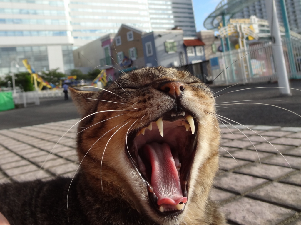 f:id:shigeo-t:20160813035833j:plain
