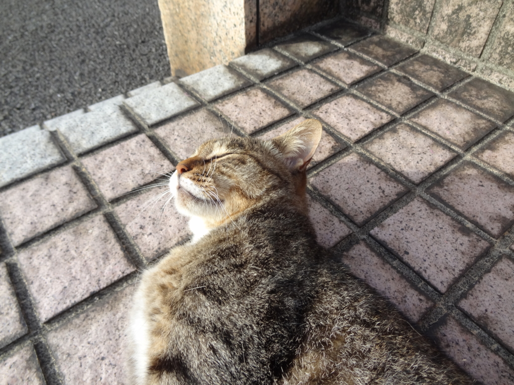 f:id:shigeo-t:20160813040046j:plain