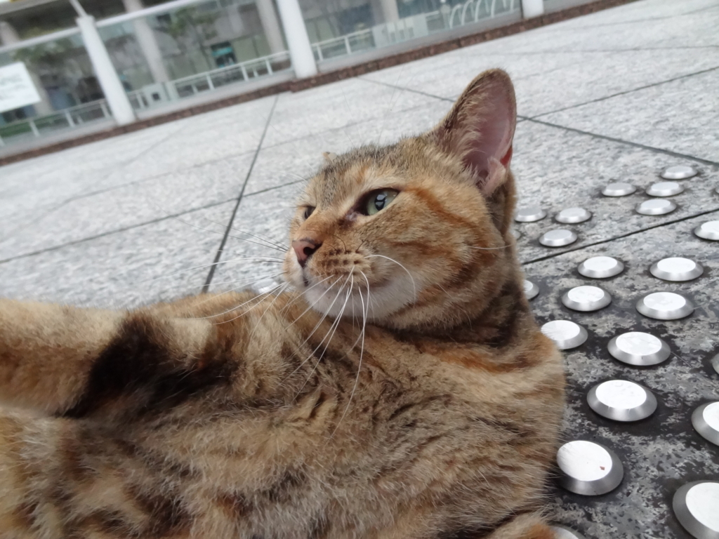 f:id:shigeo-t:20160930043336j:plain