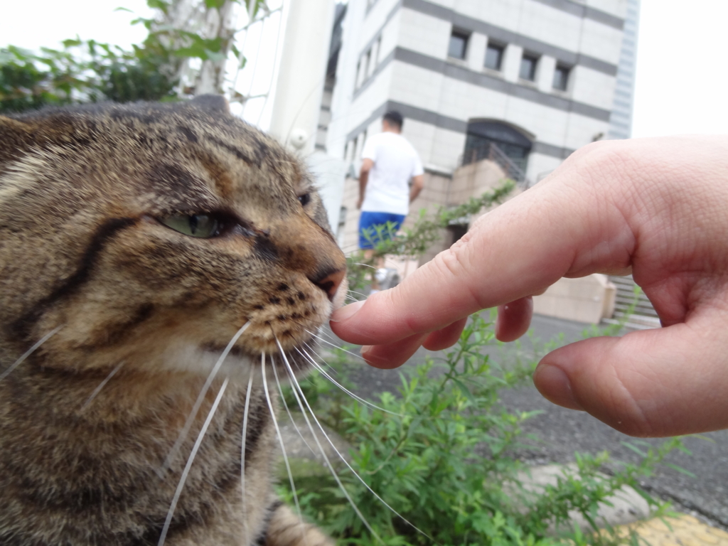 f:id:shigeo-t:20160930044145j:plain