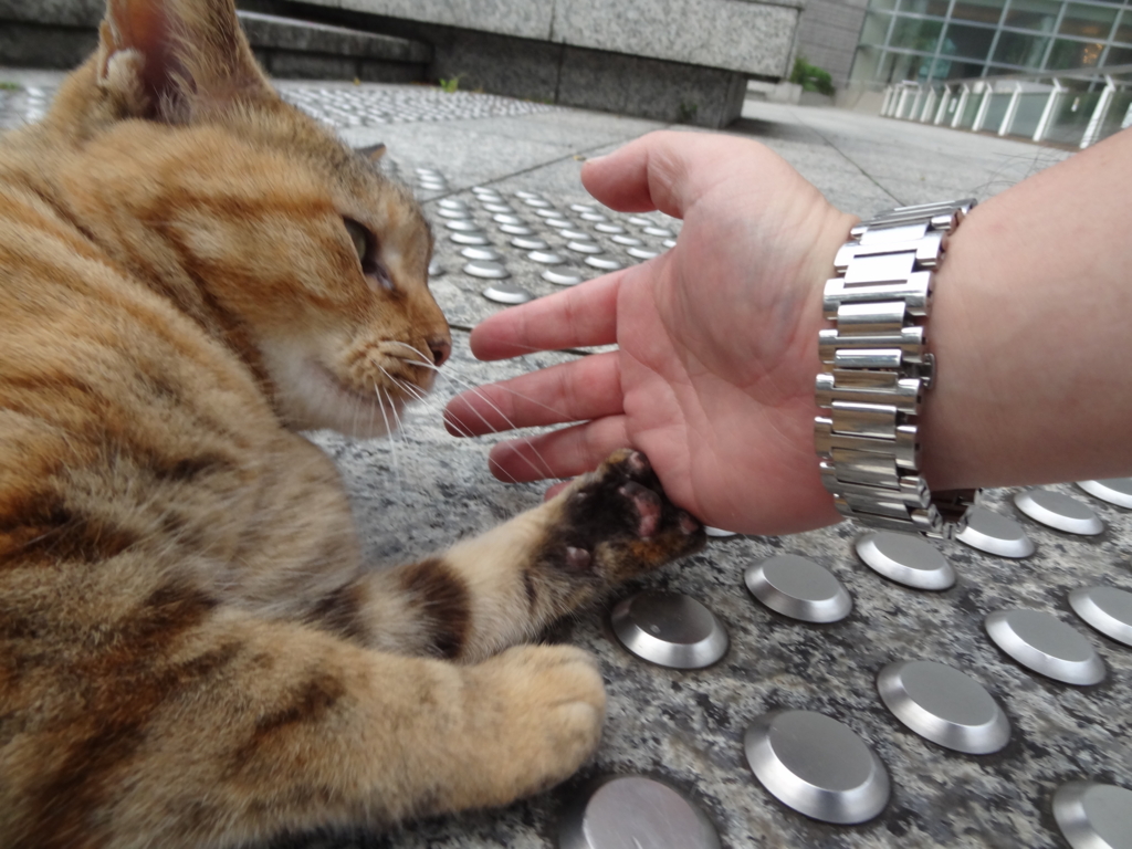 f:id:shigeo-t:20161001032606j:plain f:id:shigeo-t:20161001032606j:plain