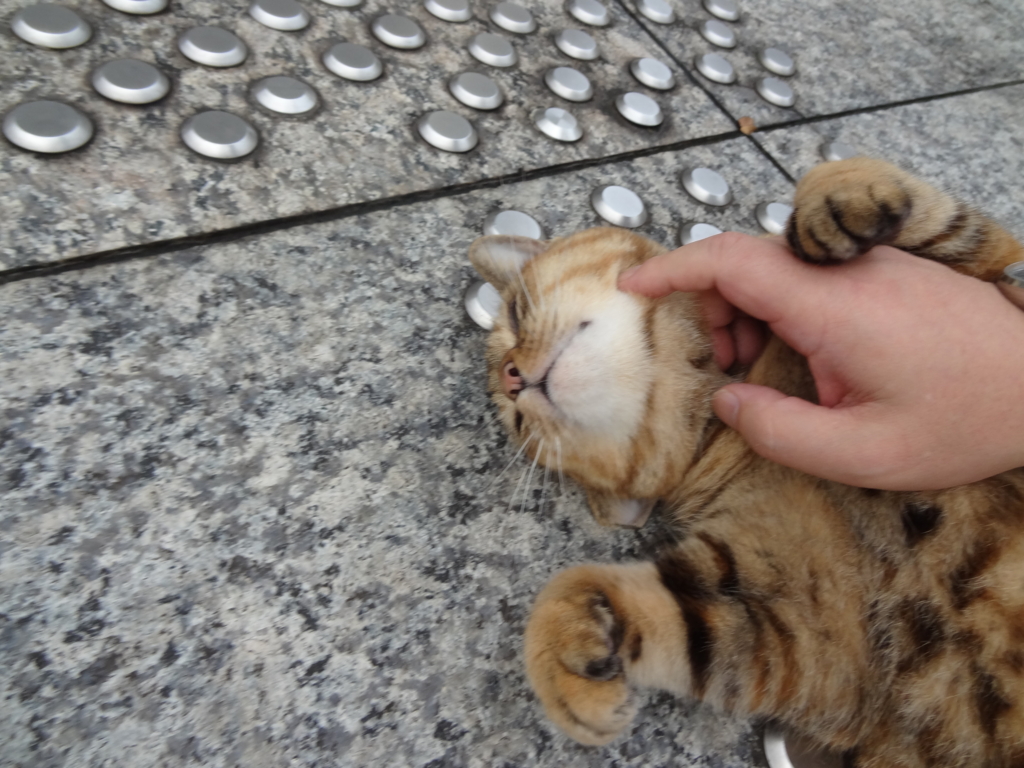 f:id:shigeo-t:20161001032620j:plain f:id:shigeo-t:20161001032620j:plain