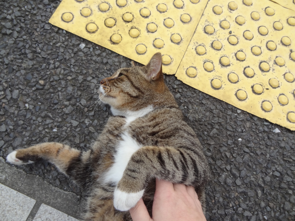 f:id:shigeo-t:20161001040754j:plain f:id:shigeo-t:20161001040754j:plain